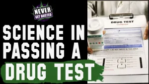 Science in Passing A Drug Test