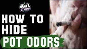 How to Hide Pot Odors